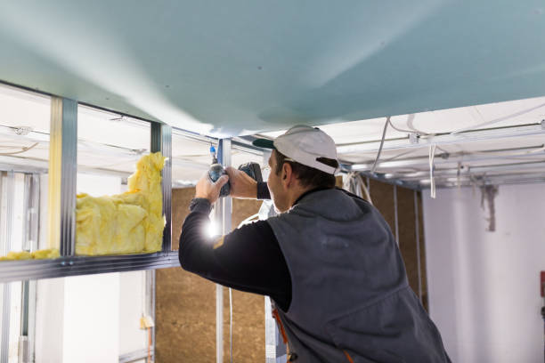 Types of Insulation We Offer in Costa Mesa, CA