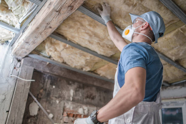Best Geographic-Specific Insulation Services in Costa Mesa, CA