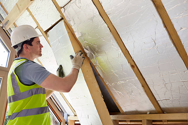 Best Eco-Friendly Insulation in Costa Mesa, CA